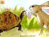As inseparable as the rabbit and the turtle – a poem